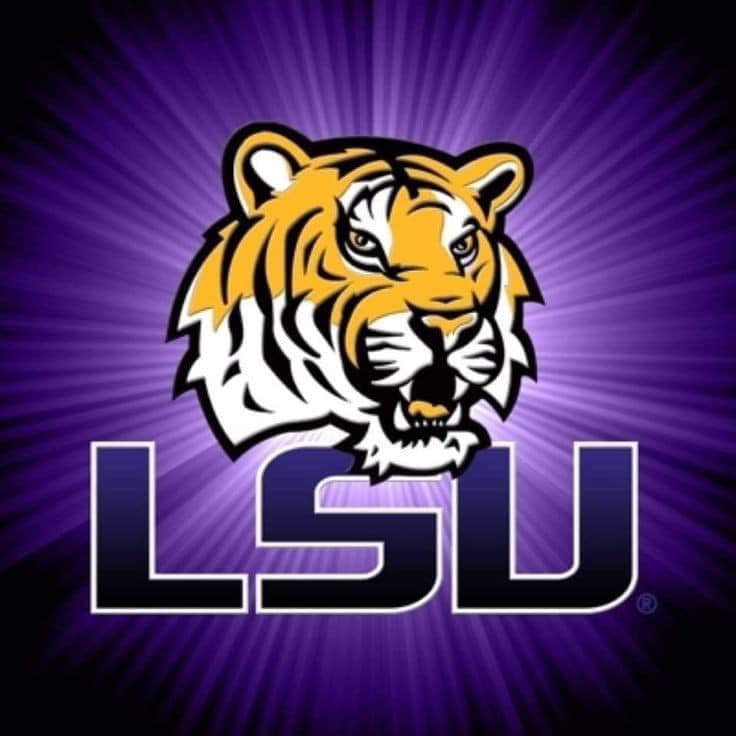 LSU 20 oz Tumblers