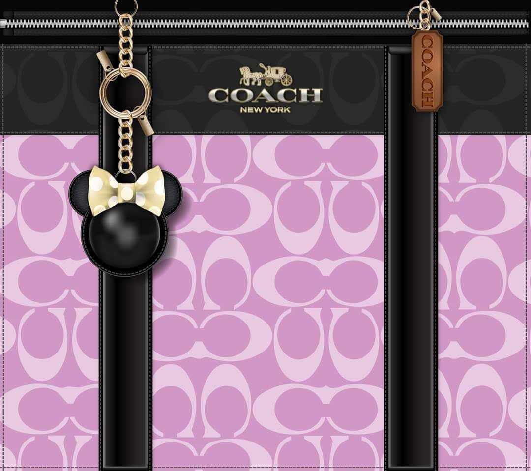 Coach /Gucci/ Chanel