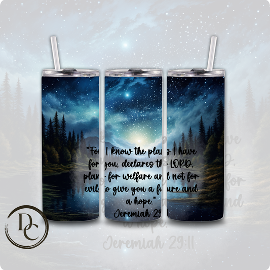 Jeremiah 29:11 Bible Verse Religious 20 oz Custom Sublimation Tumbler Stainless Steel Insulated 