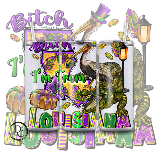 BITCH I'M FROM LOUISIANA Mardi Gras 20 oz Tumblers 8