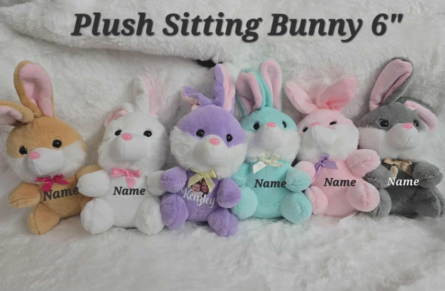 6" Mint Plush Sitting Bunny Custom Photo & Name, Personalized Keepsake Gift